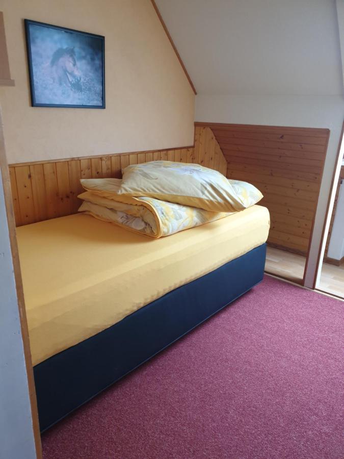 Am Sommerberg - Greschuk Apartments Feldberg  Εξωτερικό φωτογραφία