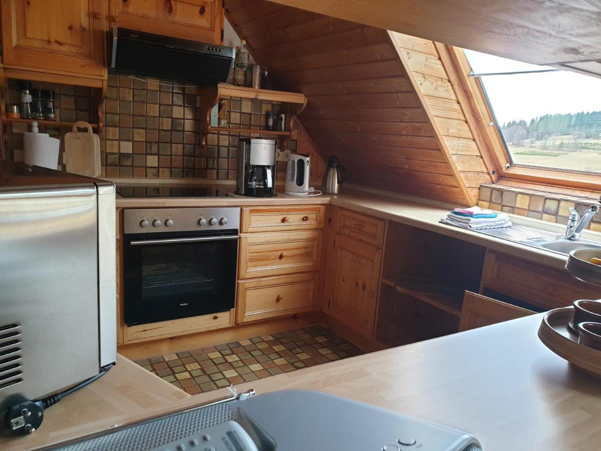 Am Sommerberg - Greschuk Apartments Feldberg  Εξωτερικό φωτογραφία