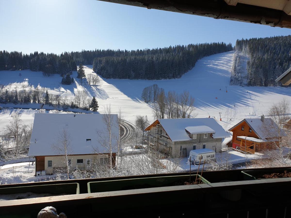 Am Sommerberg - Greschuk Apartments Feldberg  Εξωτερικό φωτογραφία