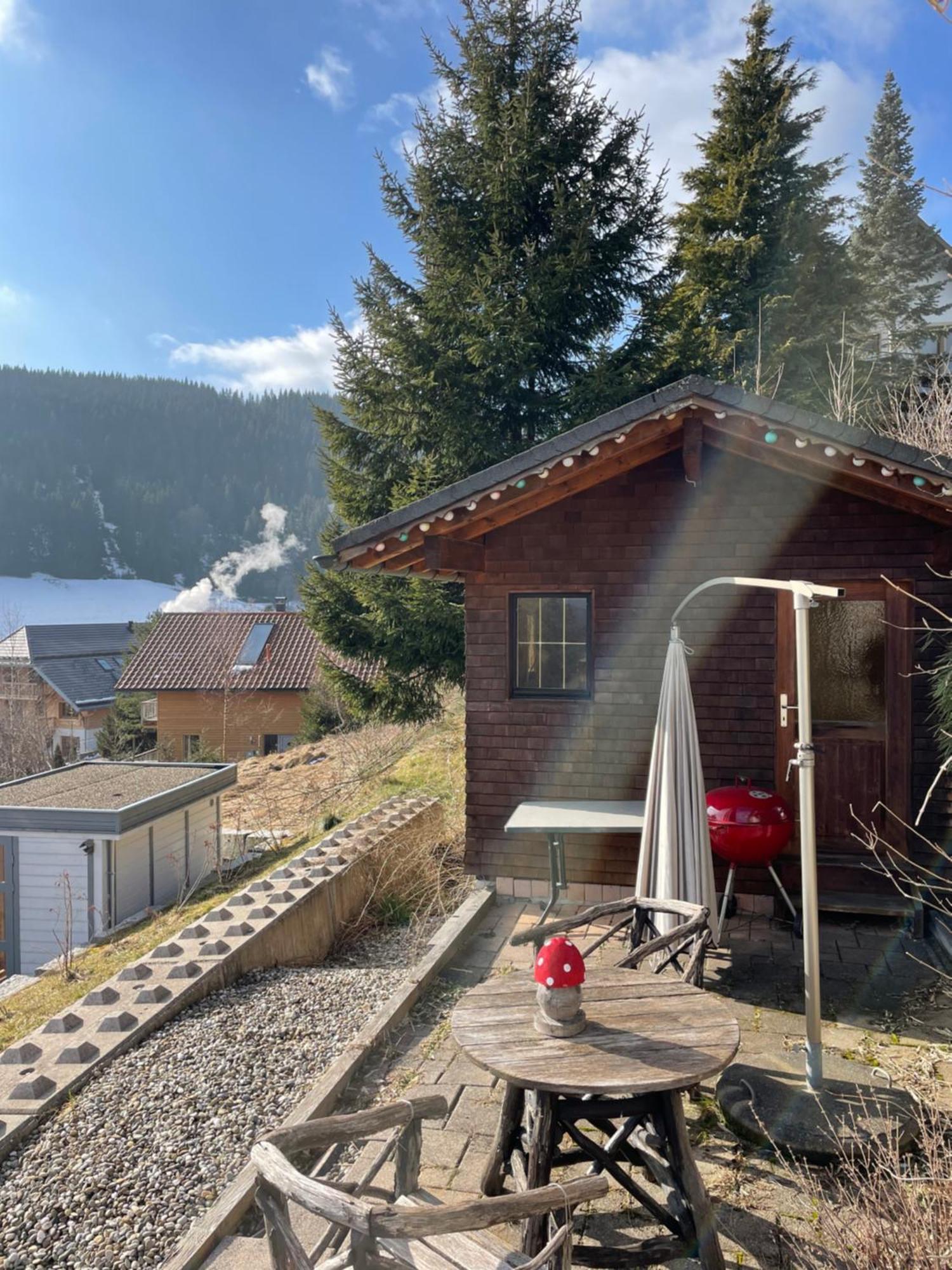 Am Sommerberg - Greschuk Apartments Feldberg  Εξωτερικό φωτογραφία